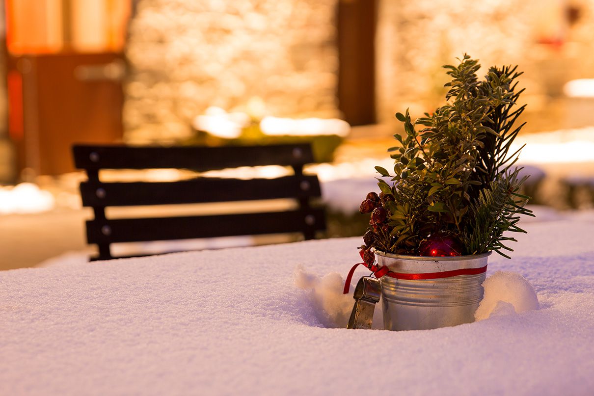 Weihnachten in der Bärenmühle